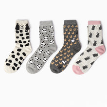 Load image into Gallery viewer, colors women girl cotton socks