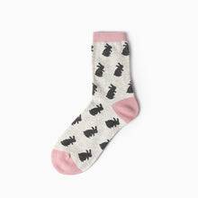 Load image into Gallery viewer, colors women girl cotton socks