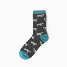 Load image into Gallery viewer, colors women girl cotton socks